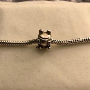 Pandora charm